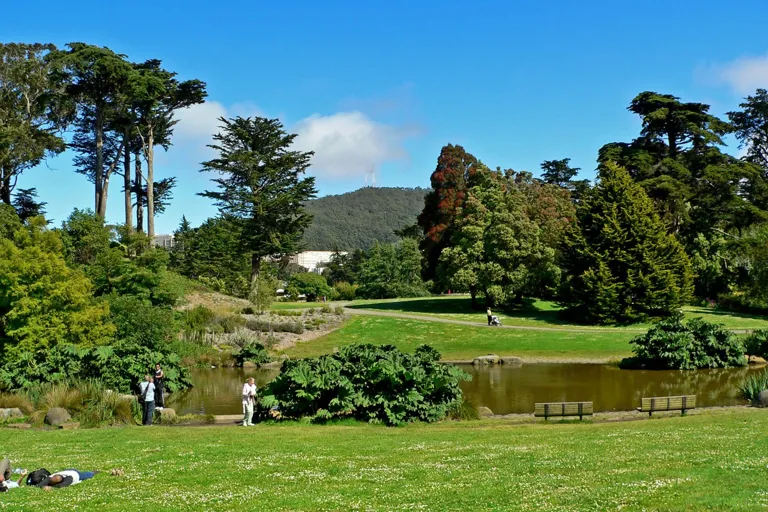 Jardín Botánico de San Francisco · fotografía de archivo