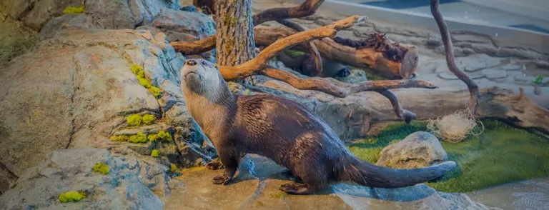Aquarium of the Bay · imagen del organizador