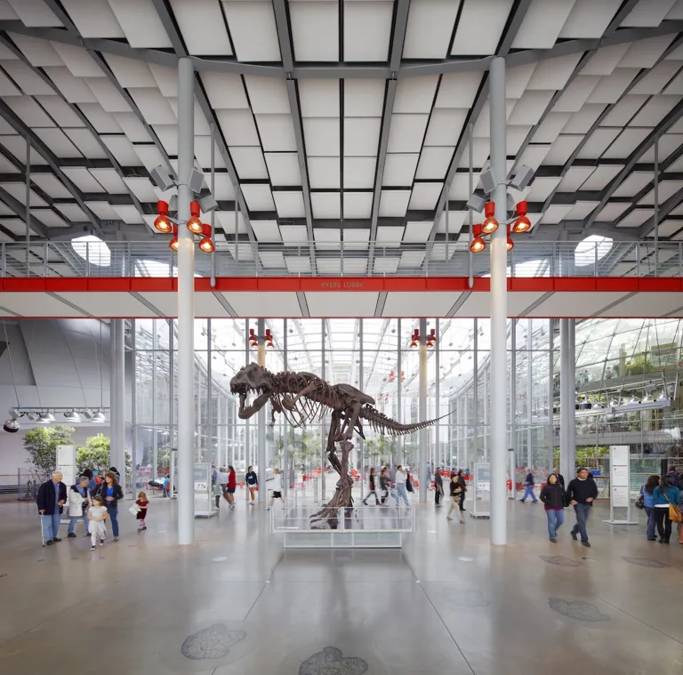 California Academy of Sciences · imagen del organizador