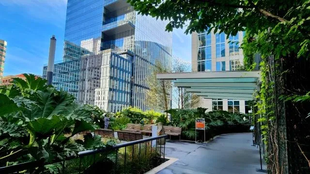 Salesforce Park · imagen del organizador
