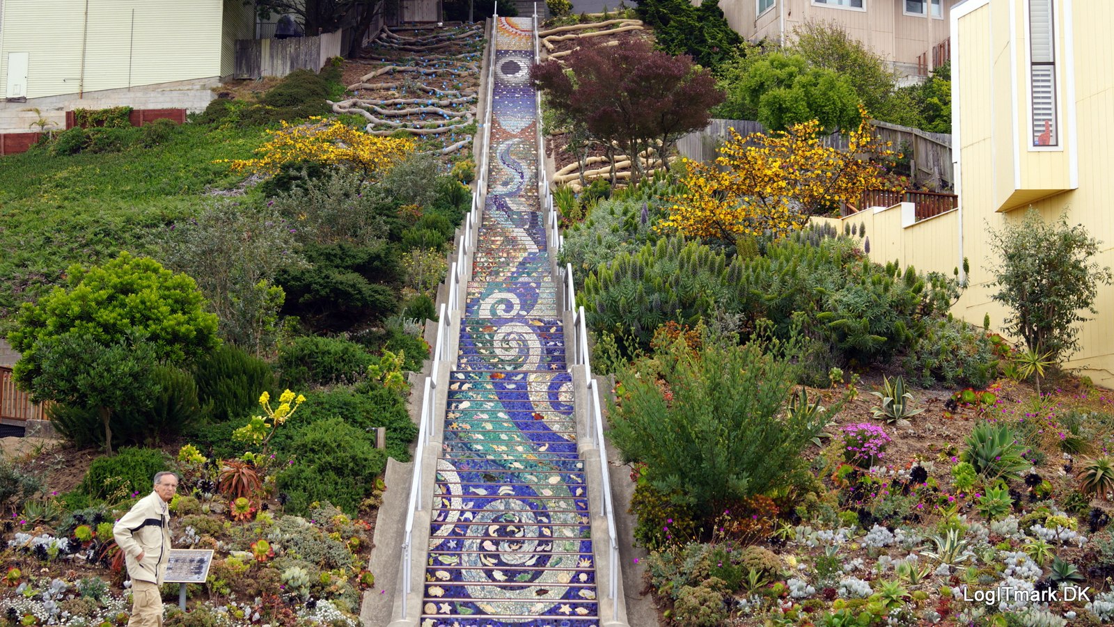 16th Avenue Tiled Steps · archival location photograph