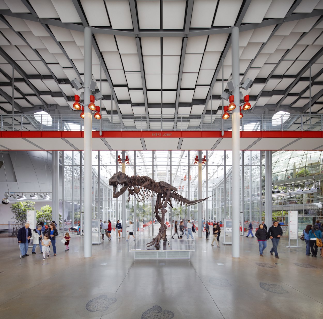 California Academy of Sciences · organizer photograph