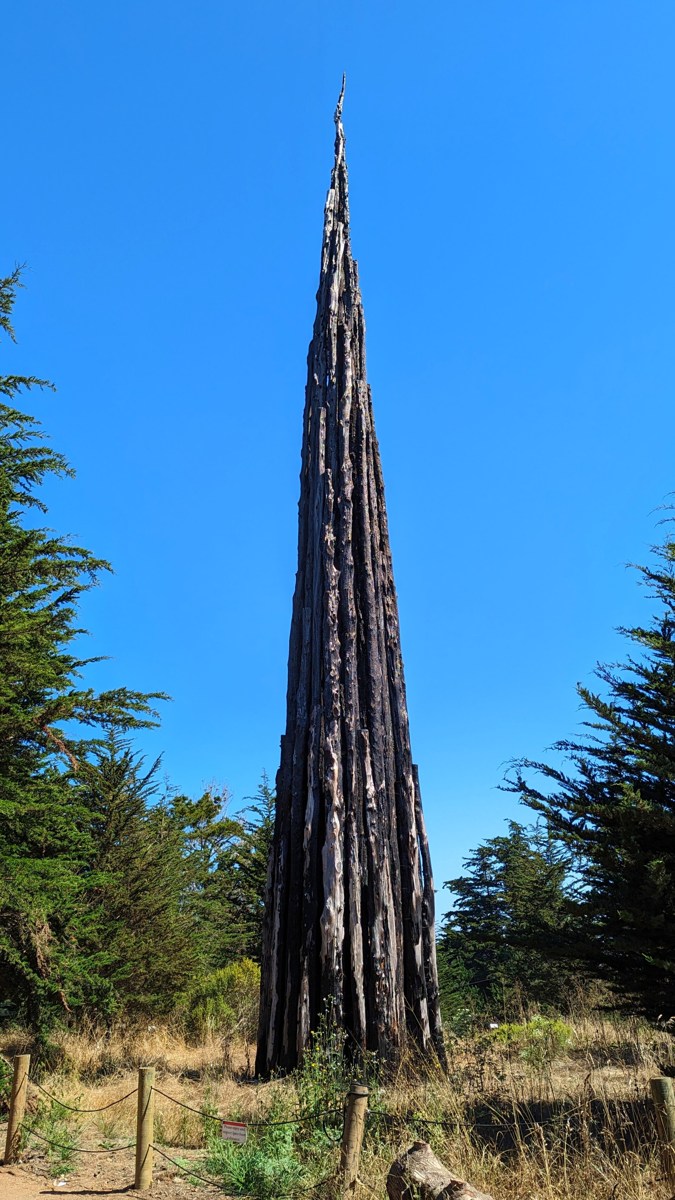 Goldsworthy in the Presidio · archival location photograph