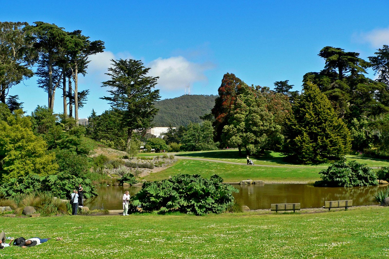 San Francisco Botanical Garden · archival location photograph