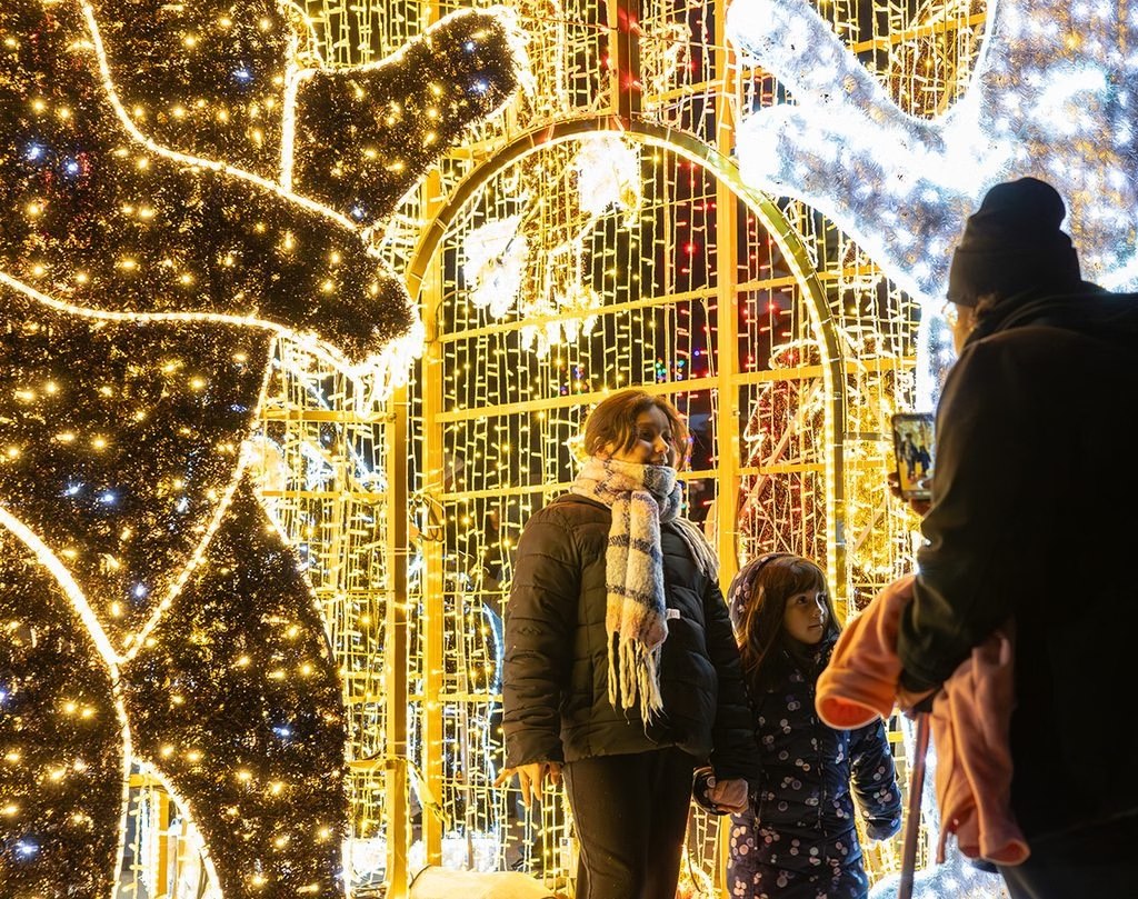 ZooLights